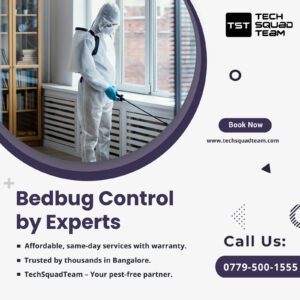 Bedbug-pest-Control-img-1-1200×1200-1.jpg