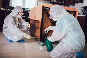 Bed-Bug-Control-Services.jpg